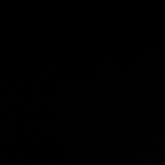 ccwirth28